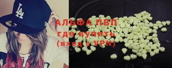 гашик Гусев