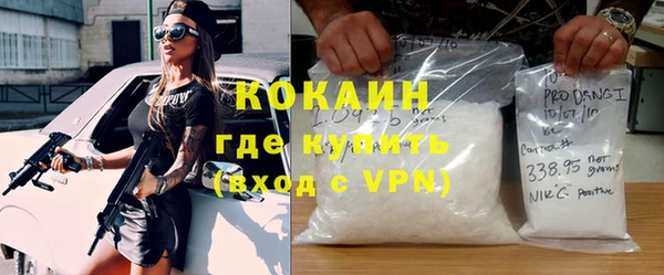 гашик Гусев