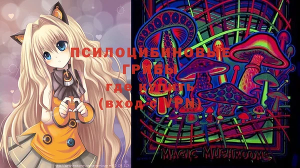 гашик Гусев