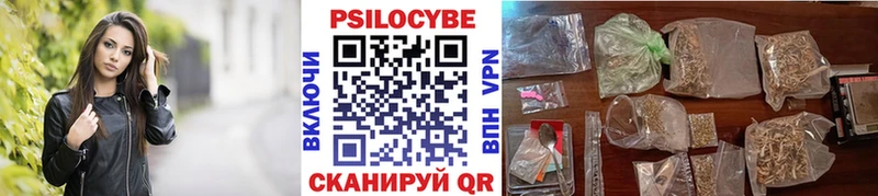 что такое   Псков  ссылка на мегу онион  Псилоцибиновые грибы Cubensis 